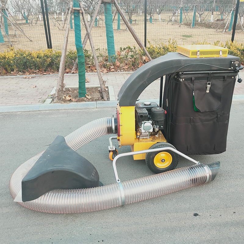小型車載式ガソリンエンジン搭載の葉っぱ掃除機（モーターとギア - Power Tools Garden のレビューと価格