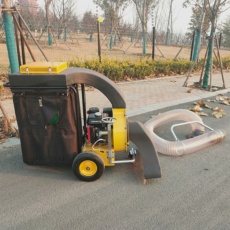 小型車載式ガソリンエンジン搭載の葉っぱ掃除機（モーターとギア - Power Tools Garden のレビューと価格